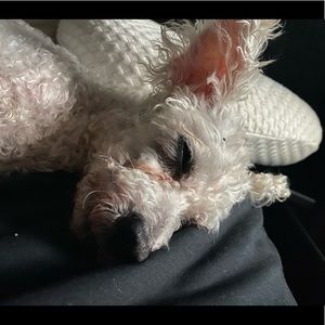 Meet your Posher, Marlen